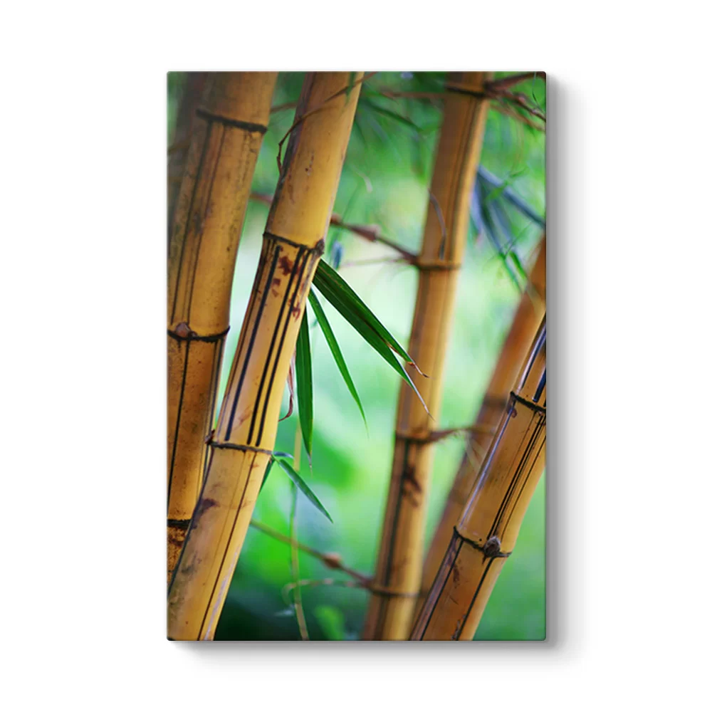 Bambu Ağaçları Tablosu - Model 2